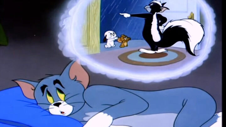 Tom is also a kind little cat.