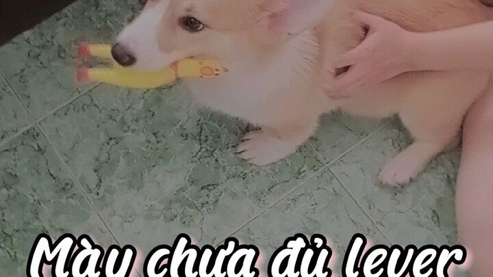 mẩu ngầu.       youtube: bánh mì trứng