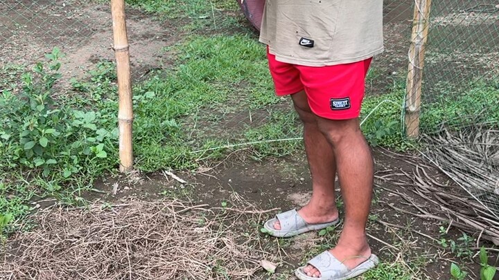 Batang bata vs binata na 🐓