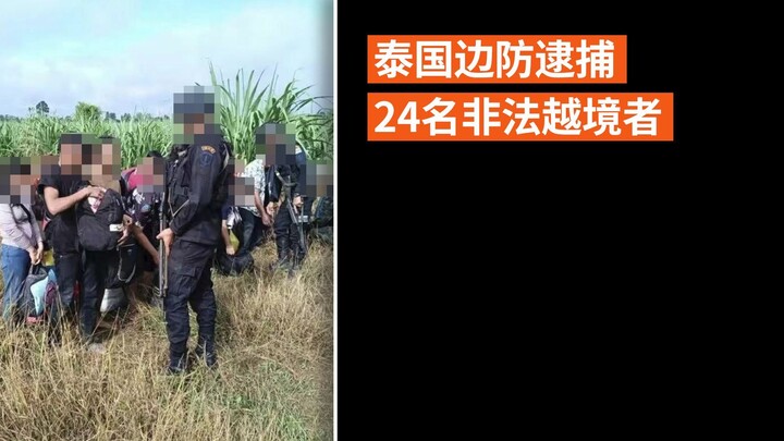 泰国边防逮捕24名非法越境者