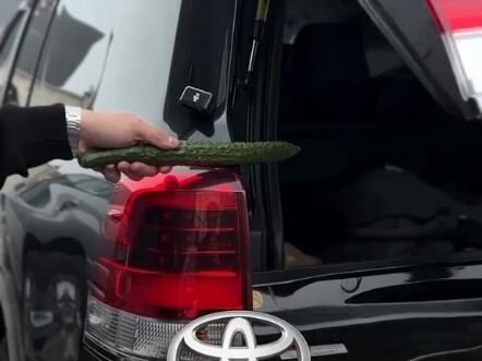 Which car saved the cucumber from harm?