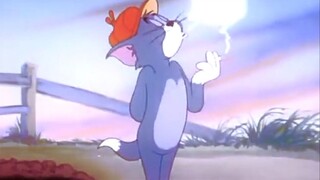【Tom and Jerry】"Elegant and Timeless" Tom