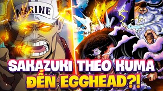 SAKAZUKI THEO CHÂN KUMA TỚI EGGHEAD?! | SAKAZUKI GẶP LẠI LUFFY?