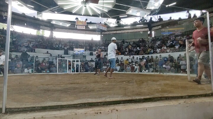 wingate @ igay cockpit arena gemini 8 2023