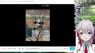 日本天然小姐姐看《大熊猫最想删除的视频》