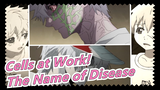 Cells at Work!
The Name of Disease