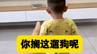 ⚡神金病啊，害我笑了亿下！⚡