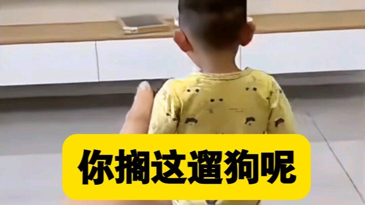 ⚡ What a divine gold disease! It made me laugh my head off! ⚡