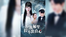 《垃圾桶里捡不出真心》You Can't Pick Up Sincerity from a Trash Can