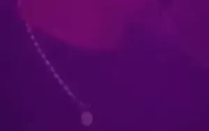 แพรวพราวจัด