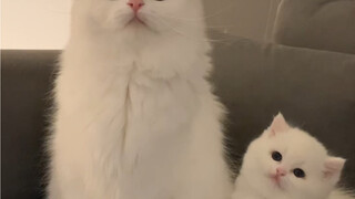 Sebenarnya siapa yang lebih penting