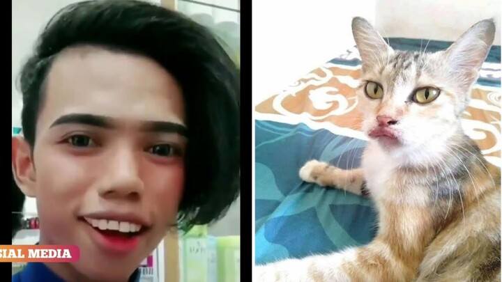 ASUPAN MEME FRESH #8 2019