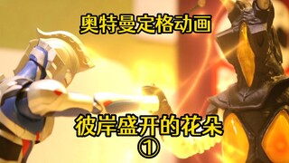 【奥特曼定格动画】特利迦奥特曼：彼岸盛开的花朵—新·世界的阴谋！