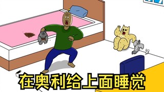 在奥利给上面睡觉