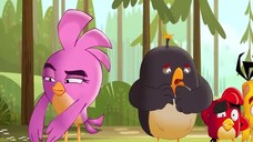 Angry Birds: Quậy tưng mùa hè (Phần 2) EP 8 [Sub Việt]
