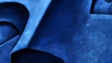 Solo Leveling cosplay girl