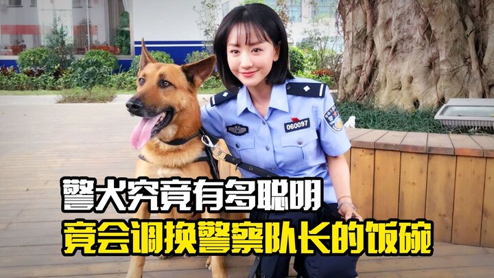 สุนัขตำรวจฉลาดแค่ไหนกันนะ ถึงขนาดเปลี่ยนชามข้าวของหัวหน้าตำรวจเองได้! – ภาพยนตร์ดราม่า