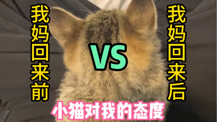 What a fickle little cat!