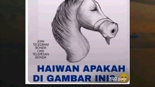 Haiwan Apakah Ini...