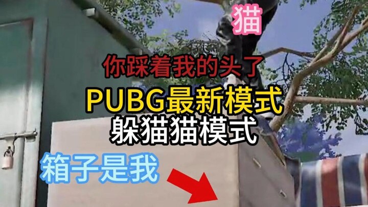 You stepped on my head! PUBG’s new Hide-and-Seek mode!