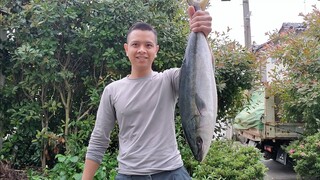 Đi Hái Rau Về Nấu Canh Chua Cá Biển | Cuộc Sống Nhật | Út Đạt | # 268