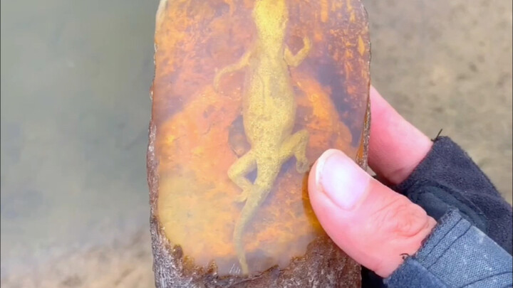 Thật không ngờ, cuối cùng lại còn có một bất ngờ bất ngờ nữa…