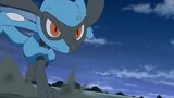 Satoshi Thu phục Pokemon Chó Con