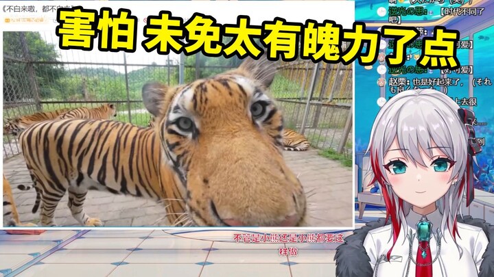 ดู “ไม่ได้มาเสียเปล่า ทุกคนล้วนไม่ได้มาเสียเปล่า” ทั้งตกใจไปบ้าง ทั้งฟินจนใจละลาย กับสาวญี่ปุ่นธรรมช