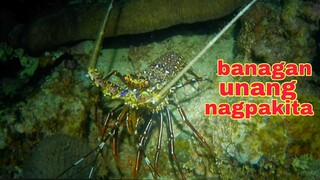ep370.Dive2 banagan agad ang nagpakita night spearfishing Philippines