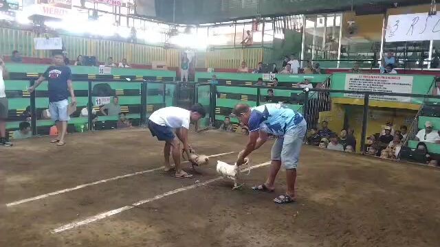 Super 2hits ulotan#win