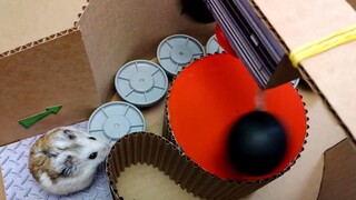 เคยเห็นเขาวงกตหนูแฮมสเตอร์ที่สนุกที่สุด ไม่เพียงแต่มีด่านที่ยอดเยี่ยมเท่านั้น ยังมีเอฟเฟกต์พิเศษอีกด