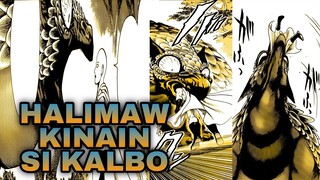 Kalbo nagpakain sa halimaw para iligtas ang mga bayani | one punch man tagalog