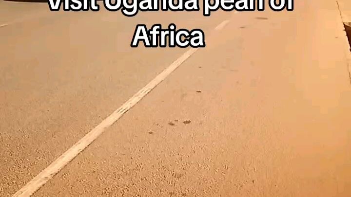 Visit Uganda pearl of Africa #uganda