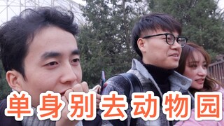 和情侣一起去动物园，感觉再也不会快乐了