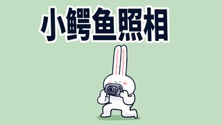 【小矛动物园】小鳄鱼照相，照得一模一样。
