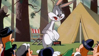 Looney Tunes Classic Collections - Hare Conditioned