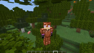 5 Ý Tưởng CỰC HAY Mà 96,69% Bạn Sẽ Cần Trong Minecraft - Thuyền Buồm