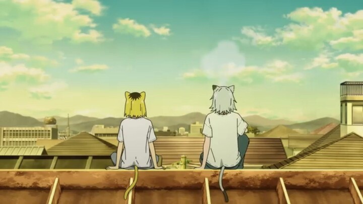 Yani Neko official trailer