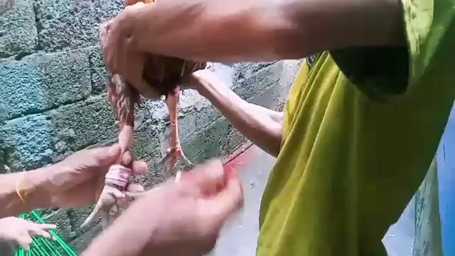 puti akin jan