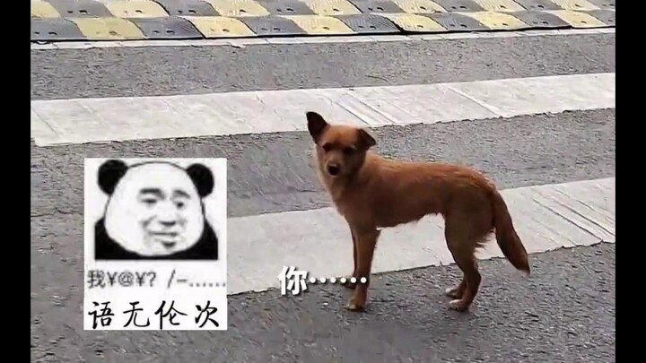 ความฮาอยู่ทุกที่จริงๆ