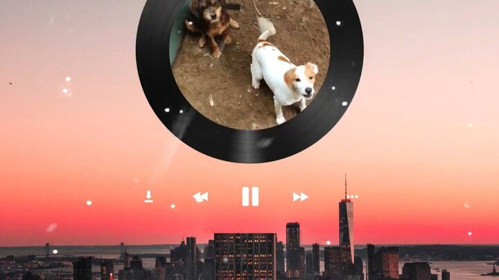first video upload bilibili❤️❤️❤️