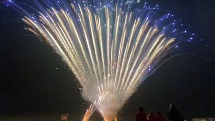 Peacock King fireworks at 800 per box