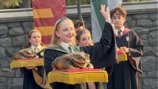 2023.11.20 Universal Studios Harry Potter - Katak