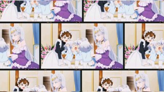 Chronicles of an aristocrat (3rd edit)