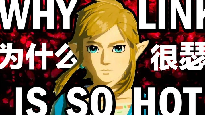 【TGD】Tại sao Link lại quyến rũ đến vậy?