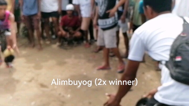 Alimbuyog 2x winner