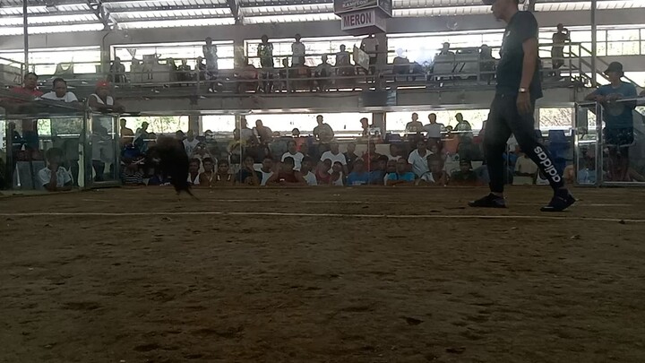ayos na