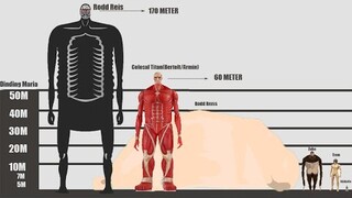 Daftar Ukuran Semua TITAN yang Ada Pada Anime Attack on Titan! Mulai Dari Yang Terkecil Hingga Besar