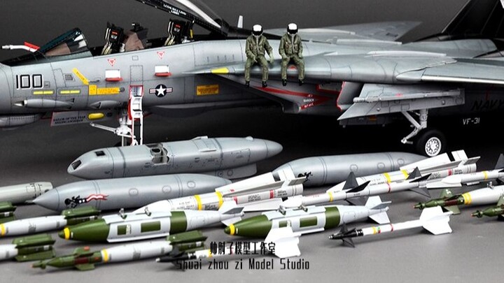 [Big Cat Forever] Triển lãm hoàn thiện mô hình Tamiya 1/48F-14D