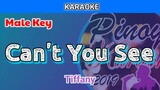 Can't You See by Tiffany (Karaoke : Male Key)